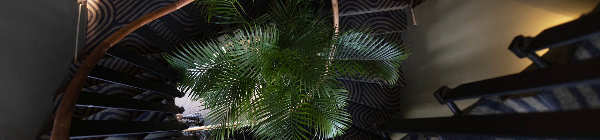Escalier élégant desservant les chambres de l’Hôtel Les Coulisses du Théâtre à Saint-Quentin